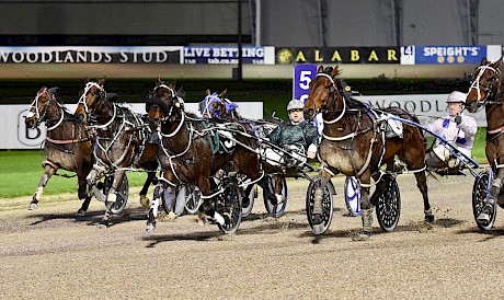 Lincoln River, centre, fights bravely after sitting parked at Auckland tonight. PHOTO: Megan Liefting/Race Images.