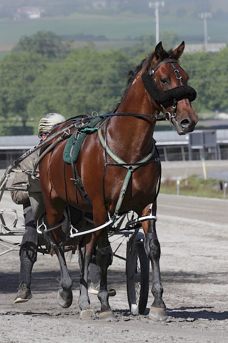 Race night driver Zachary Butcher educates Leo Lincoln at Pukekohe. PHOTO: Trish Dunell.