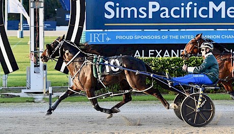 Lincoln River … two of his three wins have been at Auckland. PHOTO: Megan Liefting/Race Images.