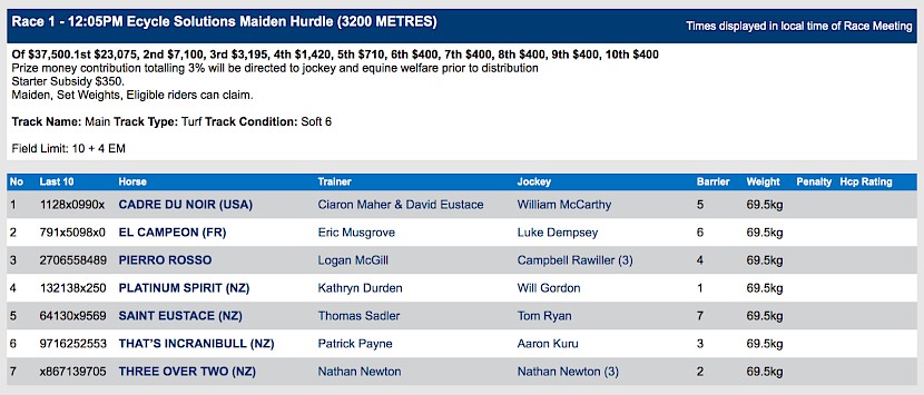 Platinum Spirit races at 2.05pm NZ time at Pakenham on Sunday.