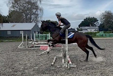 Lincoln King did some schooling before he left Stephen Marsh’s stable earlier in the year.