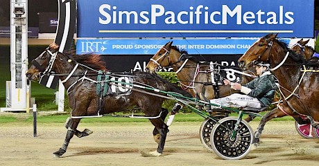 Lincoln River is too tough for 10-win pacer Brookies Jaffa and Louezyana. PHOTO: Megan Liefting/Race Images.