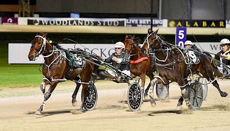 Simply Sam is too strong for Zarias at Auckland last season. PHOTO: Megan Liefting/Race Images.