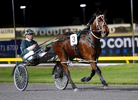Leo Lincoln (Andre Poutama) backs up after his dead-heat win at Cambridge last Thursday. PHOTO: Ange Bridson.