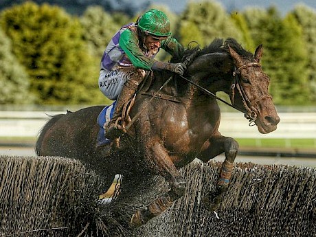 Wells (Craig Durden) on his way to winning the 2016 National at Ballarat.