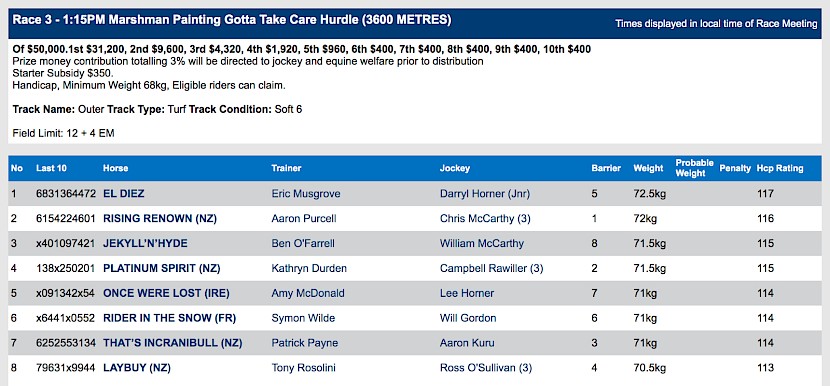 Platinum Spirit races at 3.15pm NZ time at Ballarat in Victoria on Sunday.