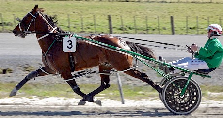 Maurice McKendry gets a feel for Copy That when winning at the Pukekohe workouts 11 days ago.