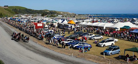 Kaikoura Cup day not for Copy That.