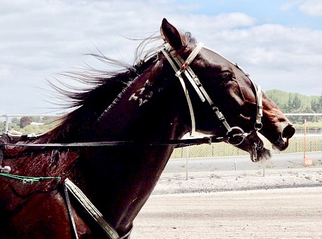 Argyle … last raced on June 6.