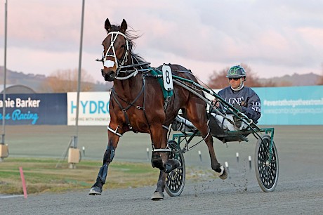 Major Achievement … won from a wide gate last start but faces a tougher field on Thursday night. PHOTO: Ange Bridson/Race Images.