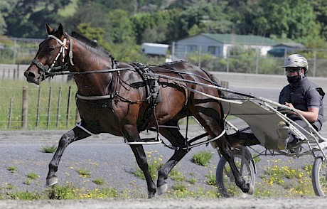 Lenny Lincoln … drawn to show what he’s got. PHOTO: Trish Dunell.