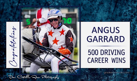 Concession driver Angus Garrard, 20, who notched win No. 500 behind Captain Nemo in December, 2022, has now driven 638 winners.