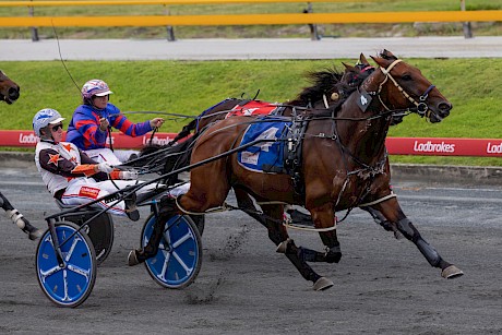 Captain Nemo is racing well but driver Angus Garrard will need luck. PHOTO: Dan Costello.