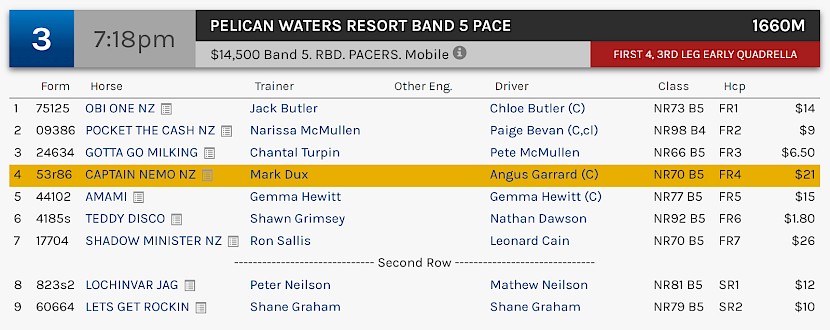 Captain Nemo races at 10.18pm NZ time at Albion Park on Saturday night.