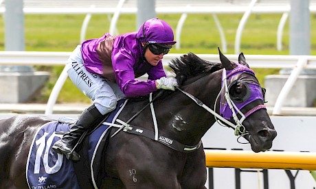 Lincoln’s Kruz (Lisa Allpress) a clear winner of last year’s Pegasus. PHOTO: Ajay Berry/Race Images.