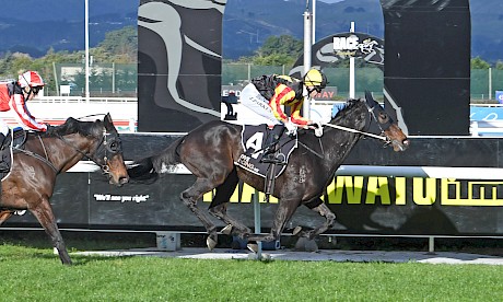 Fabian Hawk was cruising in this third win at Awapuni in June. Peter Rubery/Race Images.