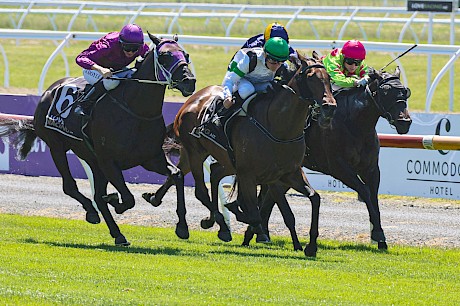 Joe Doyle (purple colours) pulls on the right rein to work Lincoln’s Kruz into the clear in last Saturday’s Pegasus at Riccarton. PHOTO: Ajay Berry/Race Images.