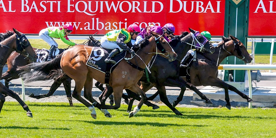 Just half a neck, a long head and half a head separate the first four home in the Pegasus. PHOTO: Ajay Berry/Race Images.