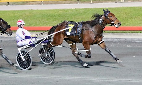 Tommy Lincoln is an outsider for the Interdominion series but will get his chance in the opening heat. PHOTO: Dan Costello.