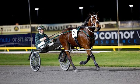 Andre Poutama will make the call on how fast Leo Lincoln leaves the gate on Thursday night. PHOTO: Ange Bridson/Race Images.