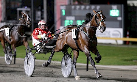 TAB Trot Slot holder Aldebaran Lodge’s Aldebaran Zeus winning on Grins Night of Champions 2023. PHOTO: Trish Dunell.