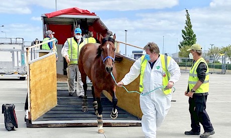 Copy That is at the airport today for a flight to Melbourne.