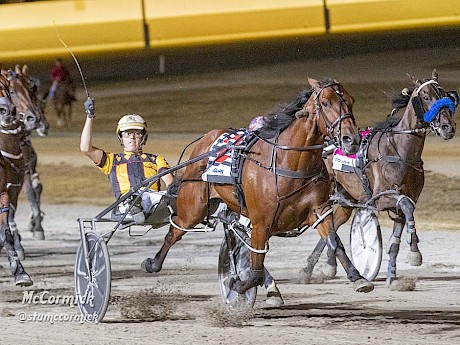 Race rival former Kiwi Spirit Of St Louis is a dual Miracle Mile placegetter. PHOTO: Stuart McCormick.