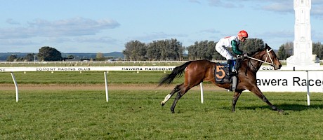 The speedy Lincoln Lady, who won four races in a row this year, has been retired to stud. PHOTO: Peter Rubery/Race Images.