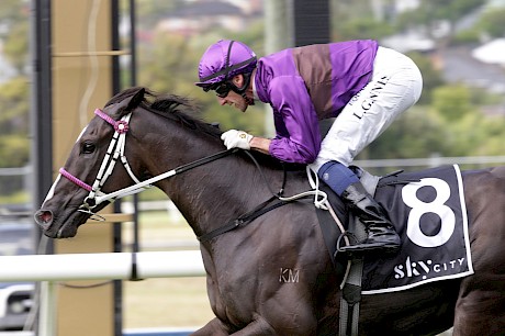 Platinum Invador (Leith Innes) scores one of his best wins in the 2020 City Of Auckland Cup. PHOTO: Trish Dunell.