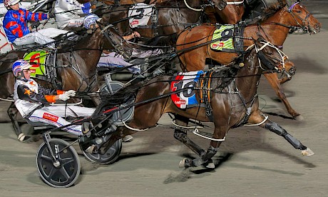 Argyle gets a rare inside draw at Albion Park on Saturday night. PHOTO: Dan Costello.
