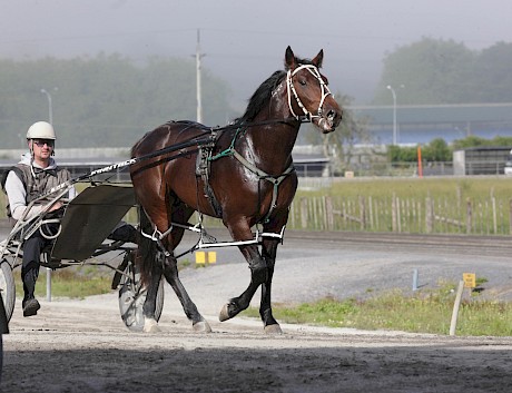 Frisco Bay was looking very promising as a two-year-old. PHOTO: Trish Dunell.