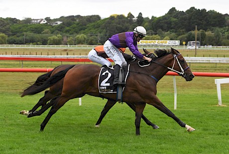 Platinum Attack (Jonathan Riddell) shades Perfectsister at the finish. PHOTO: Peter Rubery/Race Images.