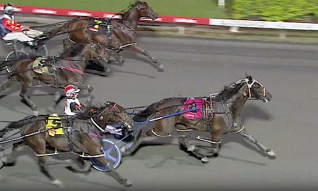 Argyle (Angus Garrard) has the opposition well covered at Albion Park on Saturday night.