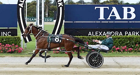 Consistent Leo Lincoln out on his own in this win at Auckland last December. PHOTO: Megan Liefting/Race Images.