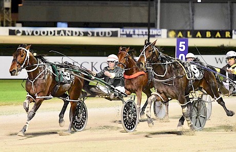 Maurice McKendry drove Simply Sam in four of his seven wins.