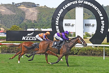 The margin is only a long neck but Platinum Attack has Tightly Laced well covered at the finish. PHOTO: Peter Rubery/Race Images.