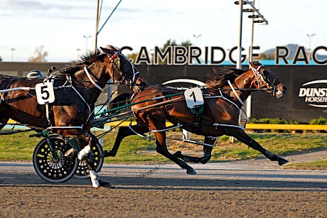 Lenny Lincoln has Sheza Mermaid covered at the finish. PHOTO: Angelique Bridson.