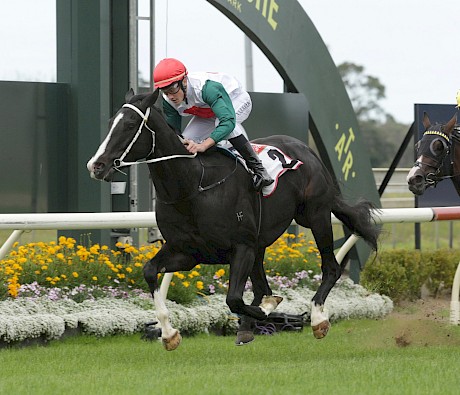 Billy Lincoln (Ngakau Hailey) kicks on strongly to score a hat-trick. PHOTO: Trish Dunell.