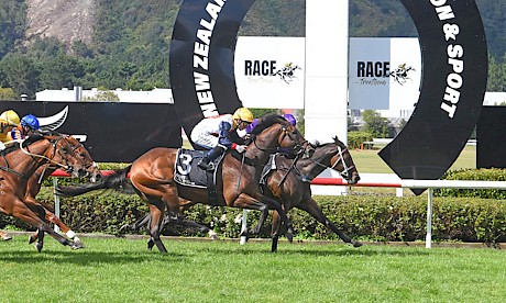 Platinum Attack staves off Koheroa to notch his fourth win on end. PHOTO: Peter Rubery/Race Images.