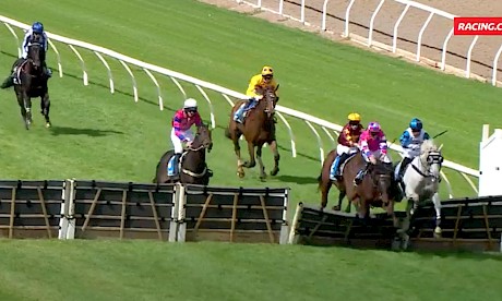 The last hurdle fence collapses as Lincoln King (pink colours) ploughs through it at Ballarat.