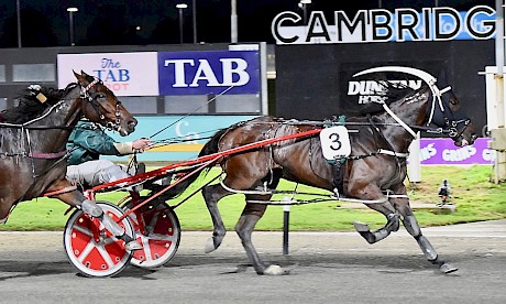 Frisco Bay is too good for Wallflower at Cambridge on Friday night. PHOTO: Megan Liefting/Race Images.