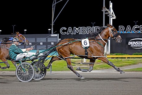 Leo Lincoln paced under 2:40 at Cambridge last start. PHOTO: Ange Bridson/Race Images.