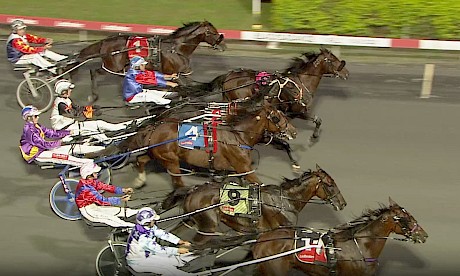 Argyle, third from the top, is swallowed up late at Albion Park at his last start.