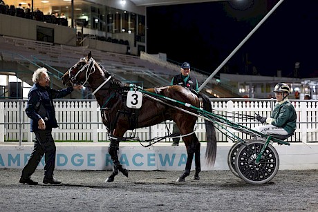 Driver Zachary Butcher tells trainer Ray Green about his difficult drive behind Lincoln Cove. PHOTO: Angelique Bridson.