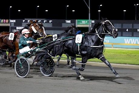 My Copy (Maurice McKendry) draws clear near the finish. PHOTO: Angelique Bridson.