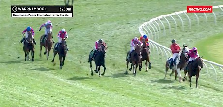 Lincoln King, third from left, has many lengths to make up at the top of the home straight while all the action is up front as the clerk of the course tries to corral the riderless Abreed.