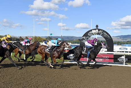 Lincoln’s Kruz powers over the top of Beebeep and Idyllic at Awapuni on Sunday. PHOTO: Peter Rubery/Race Images.