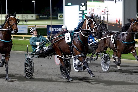 It took all of Zachary Butcher’s skills to get Lincoln Cove home at Cambridge. PHOTO: Angelique Bridson.