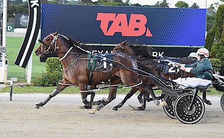 Sugar Ray Lincoln powers home for Maurice McKendry to give trainer Ray Green his 500th winner. PHOTO: Megan Liefting/Race Images.