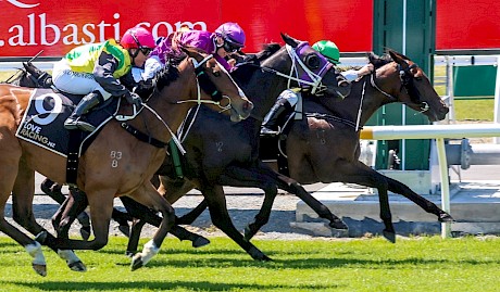 Lincoln’s Kruz just goes under to Not Guilty in last year’s Pegasus, shading Saturday’s favourite The Radiant One. PHOTO: Ajay Berry/Race Images.